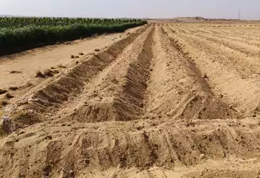 أرض زراعية للبيع