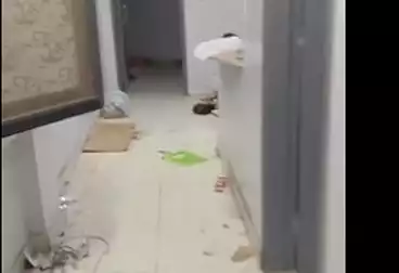 Apartments For sale - 2 rooms - floor 5