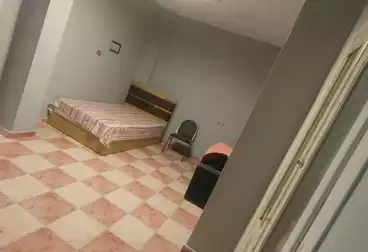 Apartments For rent - 2 rooms - floor 1