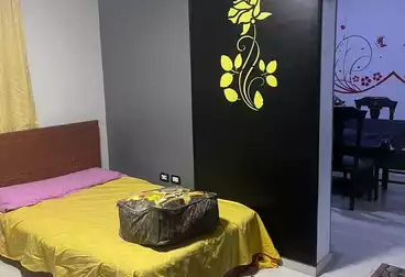 Furnished Apartment For rent - 3 rooms - floor 5