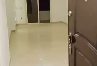 Apartments For rent - 3 rooms - floor 13