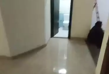 Apartments For rent - 3 rooms - floor 1