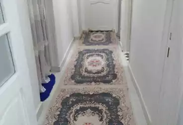 undefined undefined - 2 rooms - floor 1