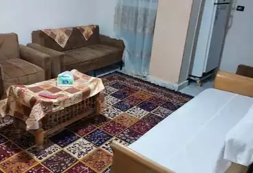 شقق مفروشة للإيجار - 2 غرف - بالدور 2