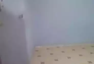 Apartments For rent - 2 rooms - floor 6