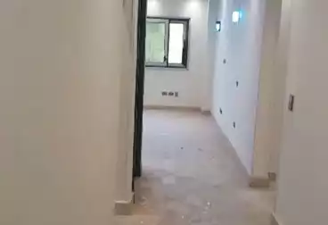 Apartments For rent - 3 rooms - floor 4