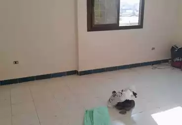 Apartments For rent - 2 rooms - floor 2