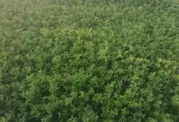Farm For sale