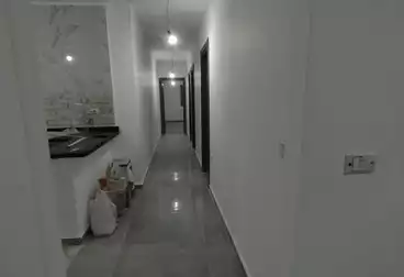 Apartments For rent - 3 rooms - floor 1