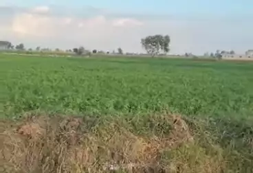 أراضي للبيع