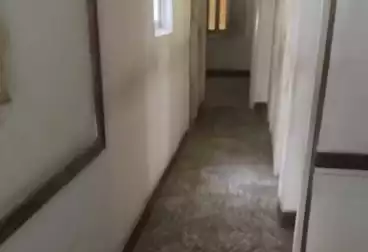 شقق للبيع - 4 غرف - بالدور 2