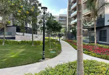 Apartments For rent - 3 rooms - floor 3