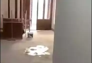 Apartments For sale - 2 rooms - floor 1
