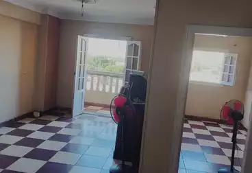 Apartments For rent - 3 rooms - floor 2