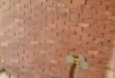 undefined undefined - 3 rooms - floor 1