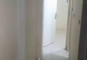 Apartments For rent - 2 rooms - floor 7