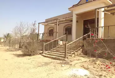 فيلا منفصلة للبيع - 3 غرف