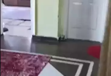 Apartments For sale - 3 rooms - floor 5