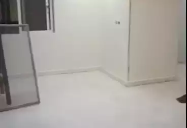 Apartments For rent - 2 rooms - floor 1