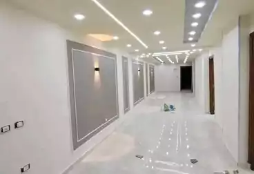 شقق للإيجار - 4 غرف - بالدور 1