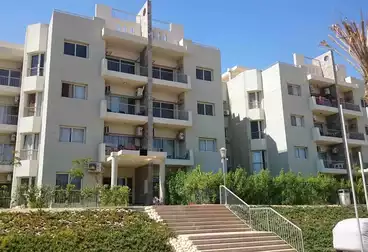 Apartments For rent - 2 rooms - floor 1