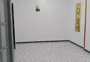 شقق للبيع - 2 غرف - بالدور 1