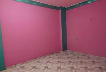 Apartments For rent - 3 rooms - floor 1