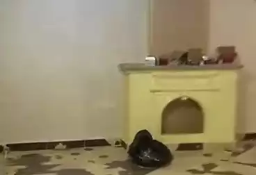 Apartments For sale - 3 rooms - floor 7