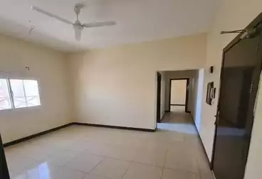 Apartments For rent - 2 rooms - floor 2