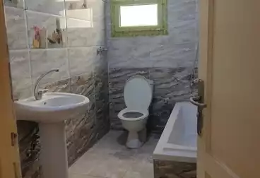 Apartments For rent - 3 rooms - floor 1