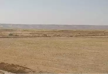أرض مباني سكنية للبيع