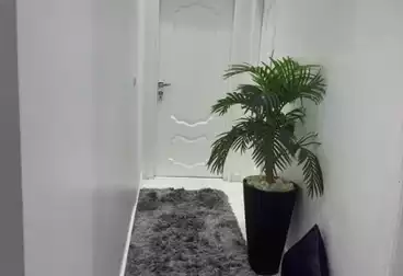 Apartments For rent - 2 rooms - floor 5