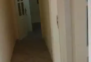 undefined undefined - 3 rooms - floor 1