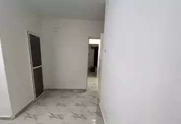 شقق للإيجار - 4 غرف - بالدور 0