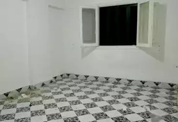 Apartments For rent - 3 rooms - floor 2