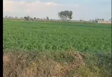 أراضي للبيع