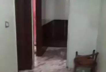 Apartments For rent - 2 rooms - floor 7