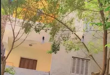 Building For sale - 3 rooms