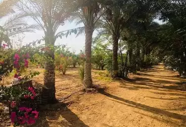 Farm For sale