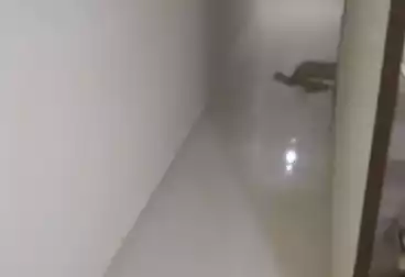 undefined undefined - 2 rooms - floor 3
