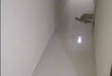 undefined undefined - 2 rooms - floor 1