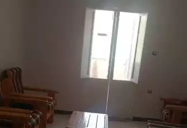 شقق للبيع - 2 غرف - بالدور 7