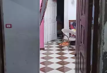 Apartments For rent - 2 rooms - floor 4