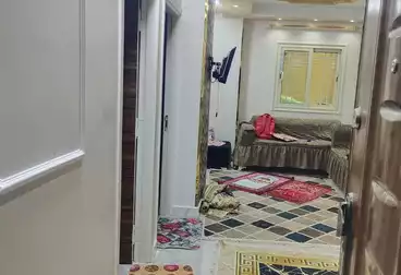 شقق للبيع - 4 غرف - بالدور 0