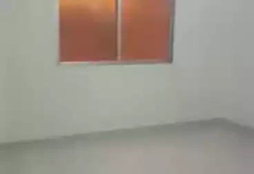 Apartments For rent - 3 rooms - floor 5