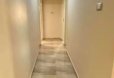 Apartments For rent - 2 rooms - floor 3