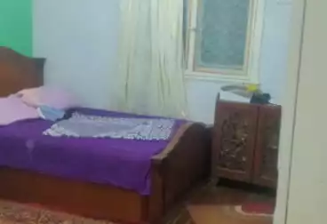 شقق للبيع - 4 غرف - بالدور 1