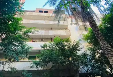 Building For sale - 15 rooms