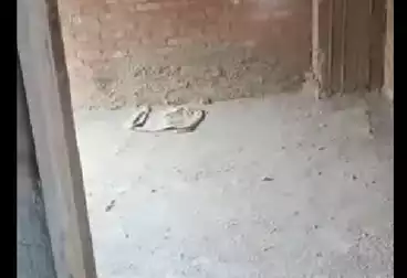 undefined undefined - 2 rooms - floor 11