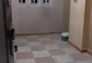 undefined undefined - 3 rooms - floor 7
